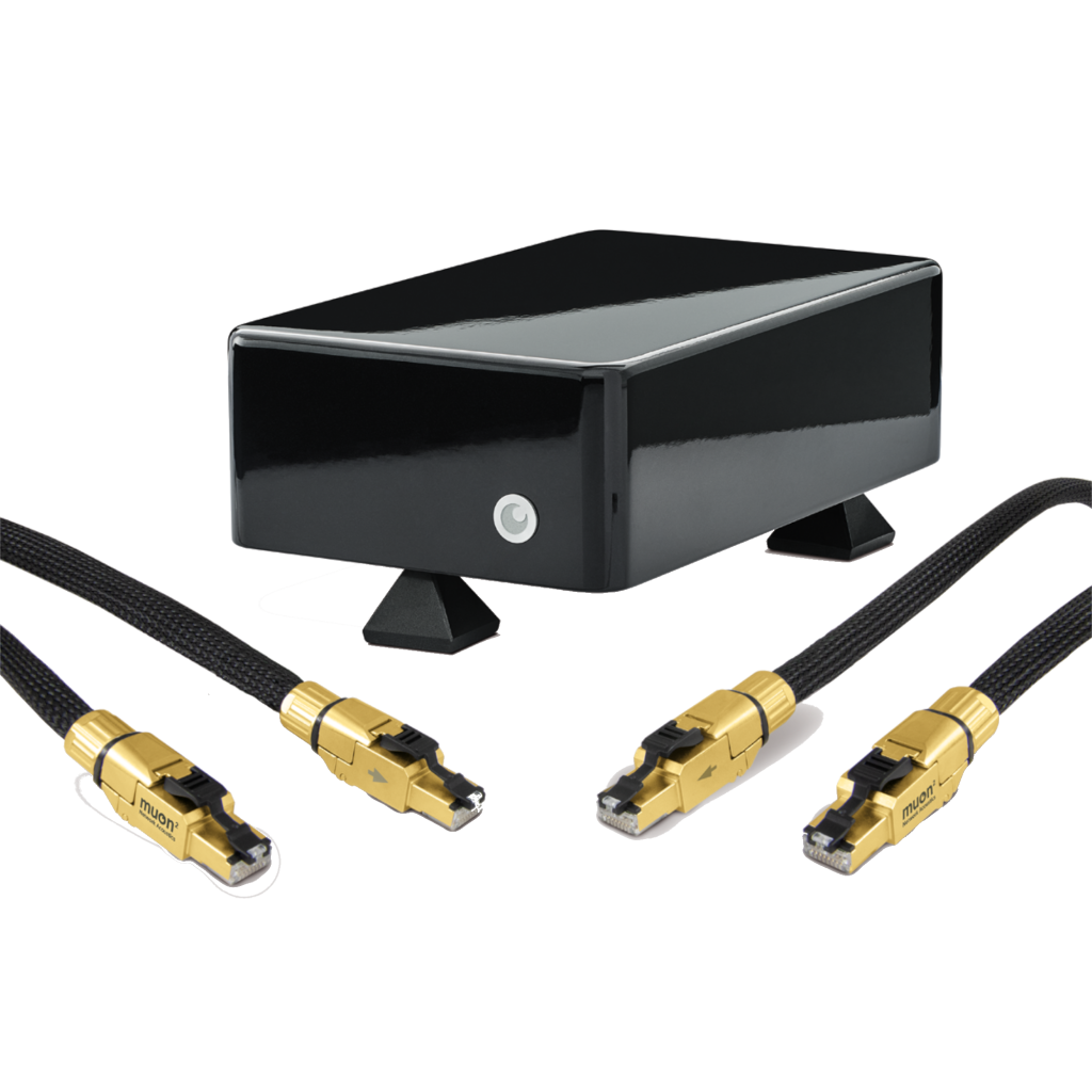 Muon 2 Streaming System