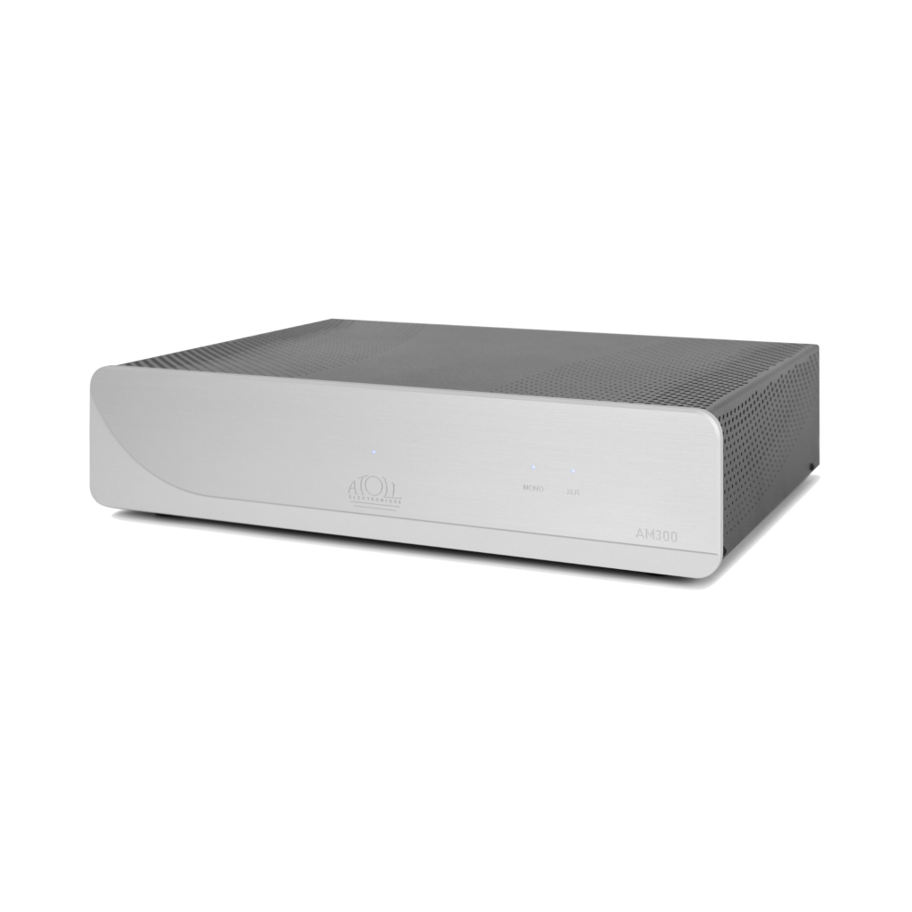 AM300 EVO Amplifer
