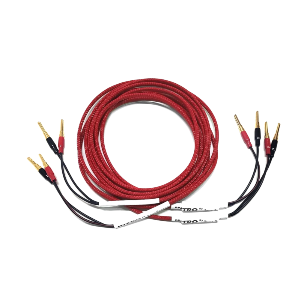 INTRO Loudspeaker Cable - Pair